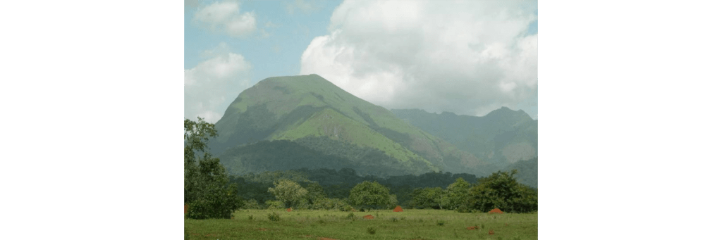 Guinea - Nimba Mountain