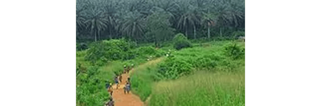 Local jungle mountain roads in Sierra Leone