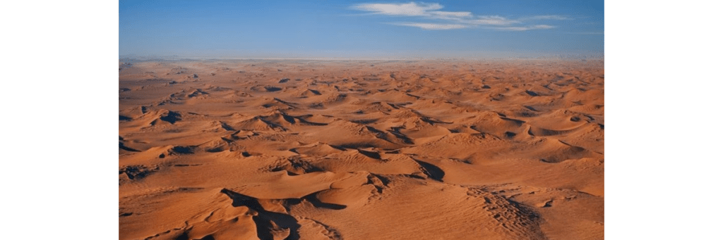 The Namibian desert