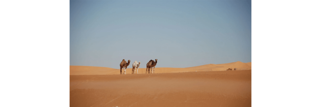 View of the Sahara Desert, Algeria
